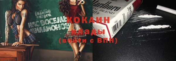 стафф Коряжма