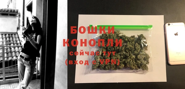 крисы Костерёво