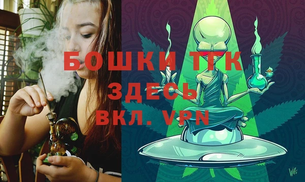 стафф Коряжма