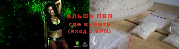 стафф Коряжма