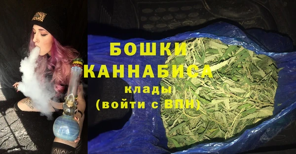 стафф Коряжма