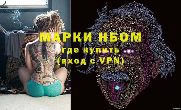 стафф Коряжма