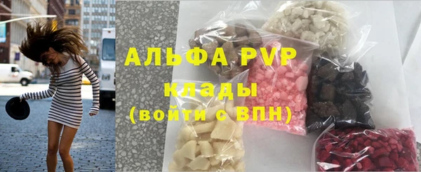 стафф Коряжма