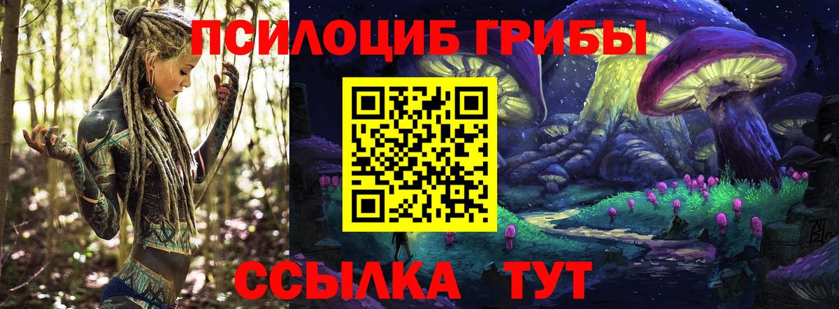 Феодосия  купить наркоту  Вход с VPN  Псилоцибиновые грибы Cubensis  Галлюциногенные грибы GOLDEN TEACHER 